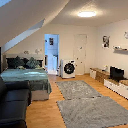 Einzimmerwohnung In Wiesbaden-bierstadt דירה