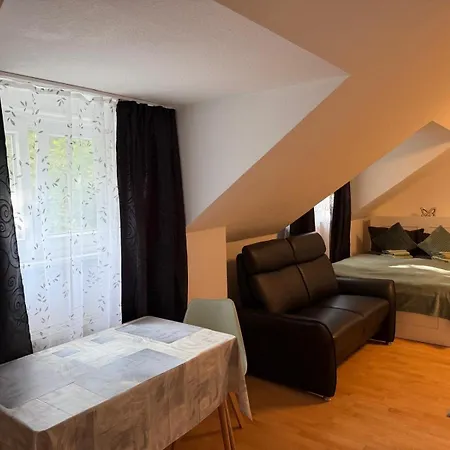Einzimmerwohnung In Wiesbaden-bierstadt דירה ויסבאדן