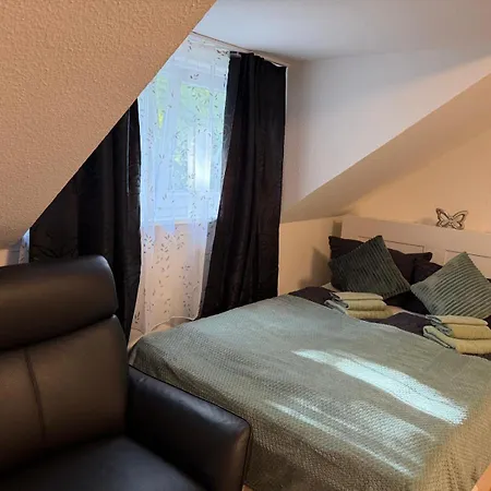 Einzimmerwohnung In Wiesbaden-bierstadt דירה *